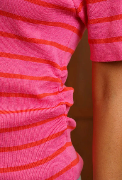 Raspberry Top