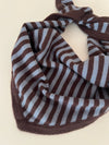 SCHAL ‚COZY STRIPE‘
